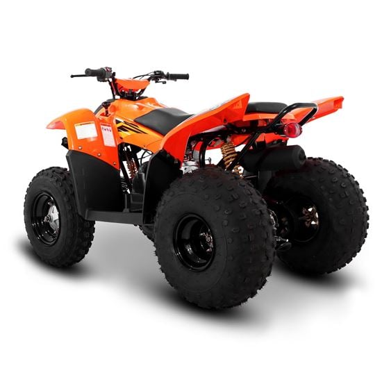 Mini quad 2025 bike 100cc