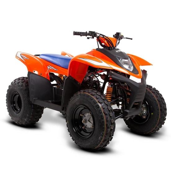 mini quad bike 100cc