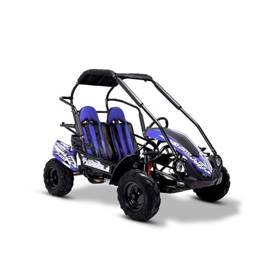 kids off road buggy